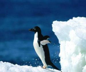 Puzzle Πιγκουίνος πάνω από το χιόνι στην Ανταρκτική